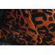 ROAR Ring Sling - Welcome to the jungle – Ginger’n spice