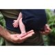 NEKO Tiny babycarrier with buckles - adjustable - Navy