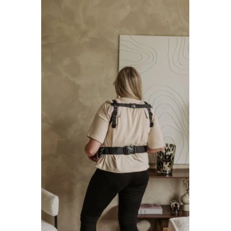 Ergonomic carrier Fidella Fusion BABY SIZE - Feather Rose