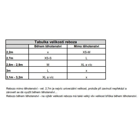 Antama Rebozo Understanding