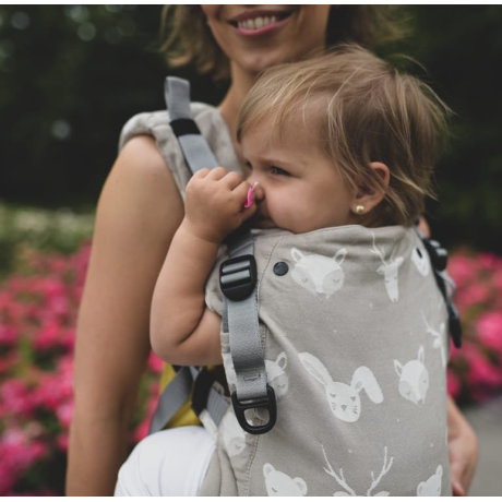 FOR RENT Sestrice ergonomic babycarrier Carrier - Dreamers Natur