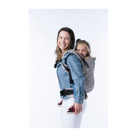 Tula ergonomic carrier Sleepy Dust