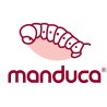 Manduca